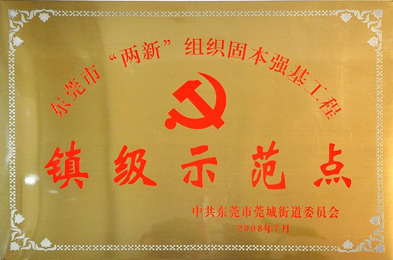 東莞市“兩新”組織鎮級示范點
